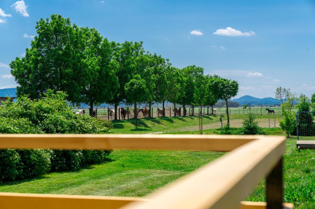 Готель Horse Glamping Park Cirkovce Екстер'єр фото