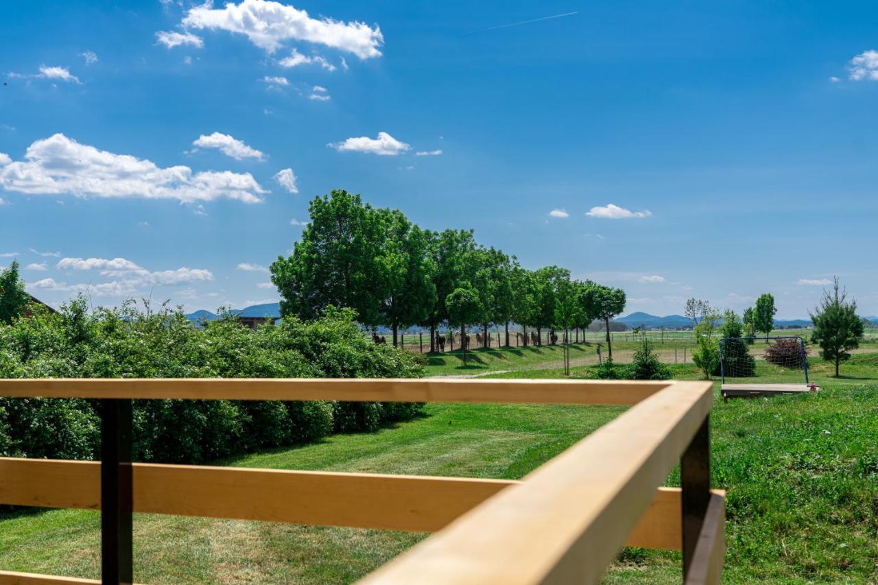 Готель Horse Glamping Park Cirkovce Екстер'єр фото